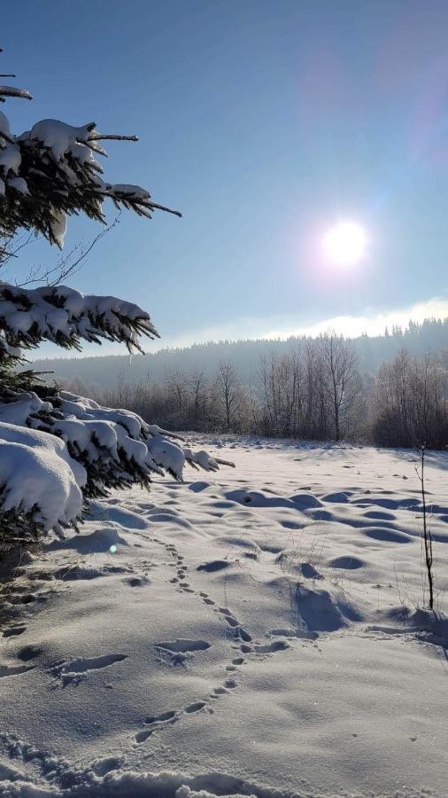Osada Sierpnica - Uroczy Dom Z Kominkiem I Balia W Gorach Sowich Exterior foto
